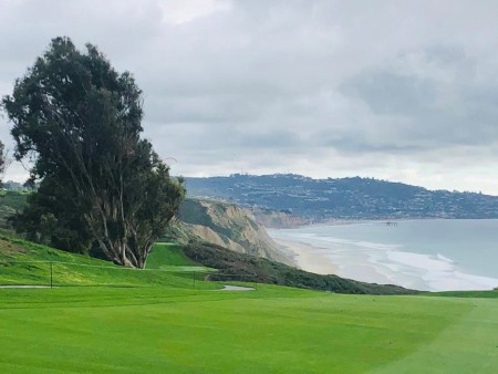 Torrey Pines